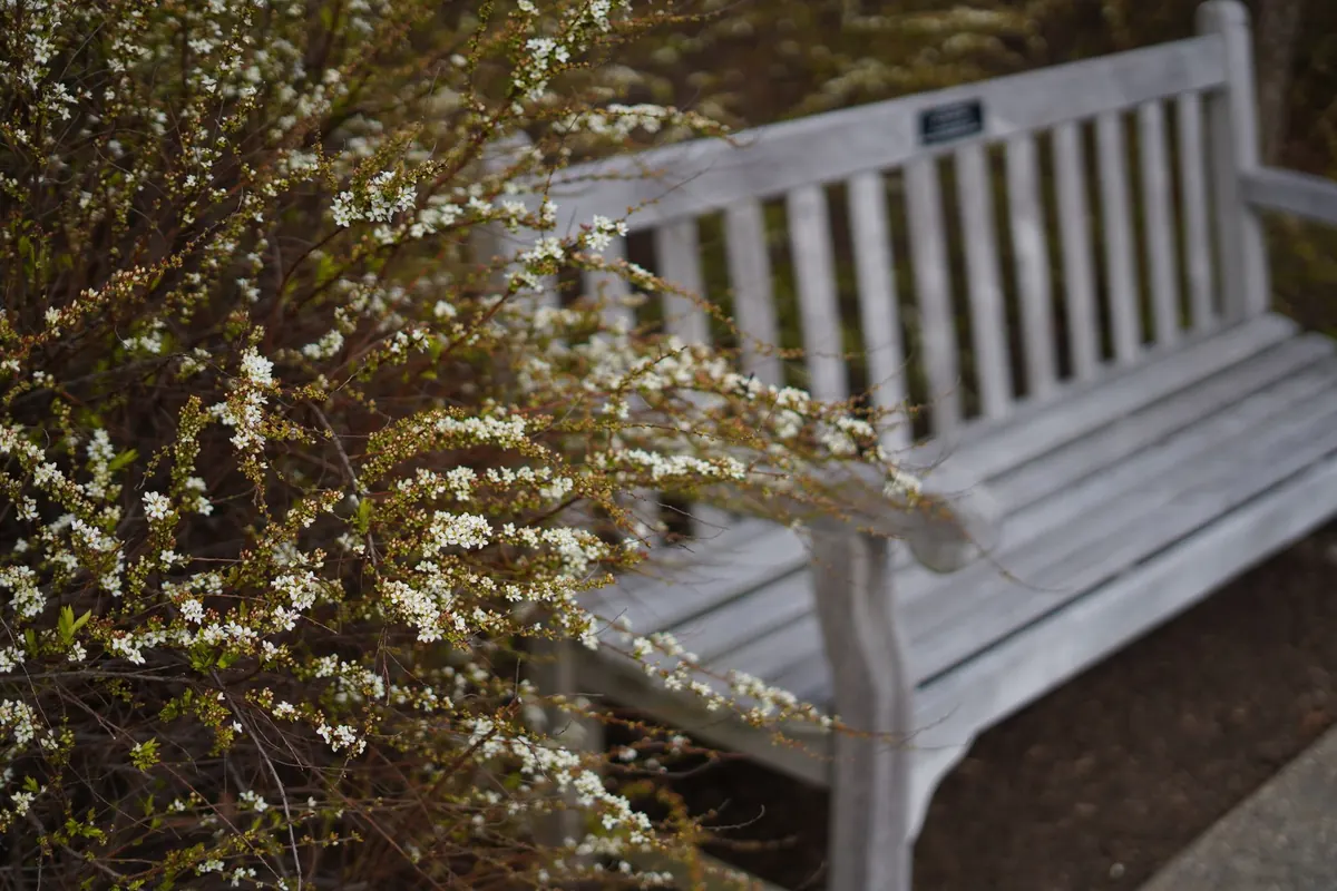 Spring Checklist for Stone Benches and Pebble Seating